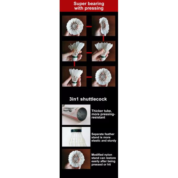 Pro Petrel Hot Selling Badminron Shuttlecock Better Quality Feather Durable Nylon Stand and Cork with Long Life