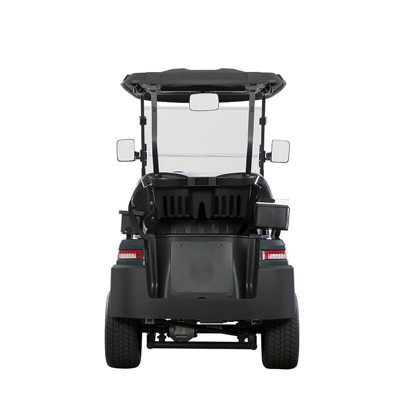 Electric Golf Carts Featuring Intelligent Onboard Charger for Fast Charging and Driving Performance