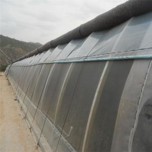 Wholesale Automatic High Insulated Agricultural Greenhouse With Customized Temperature Control from china suppliers