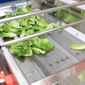 Vibration Air Dryer Vegetable Fruit Leaves Vegetables Saiko persimmon Ginger