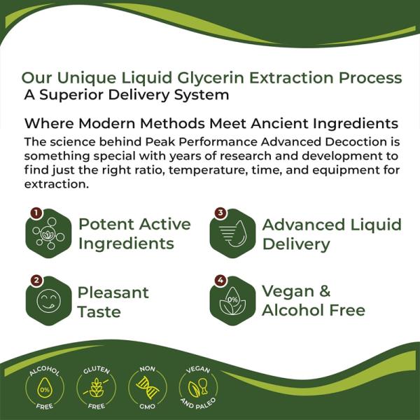 Advanced Decoction Liquid Dietary Supplement with Echinacea Root, Burdock Root