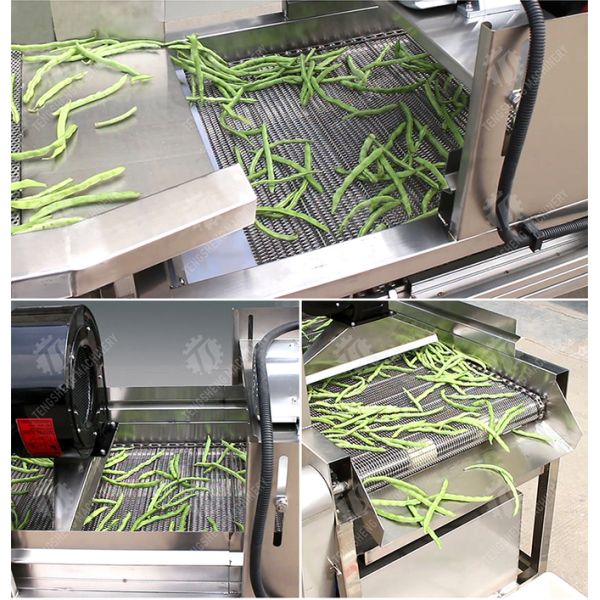 1000KG/H Fruit And Vegetable Processing Line Bubble Washing And Vibrating Drying