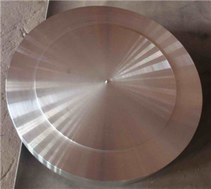 Nitronic 60 Alloy 218 UNS S21800 WN SO Blind flange forging disc ring