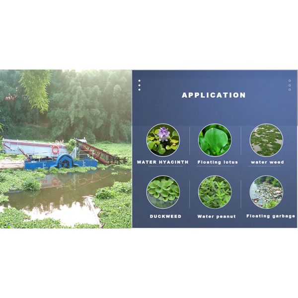 12t Load Capacity Automatic Amphibious Weed Harvester with Diesel Engine