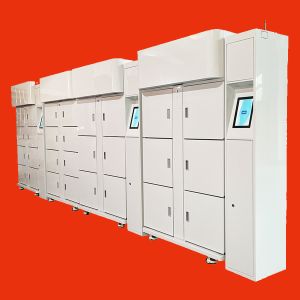 Wholesale Winnsen Flower Refrigerator Vending Locker System Machine Cooling Food And Beverage Glass Bottle Champagne Milk from china suppliers