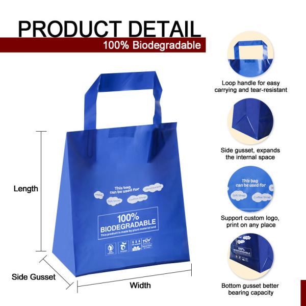 Poly Loop Handle Die Cut Shopping Bag Recycled With Gravure Printing