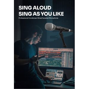 All Metal Studio Condenser Microphone 20mm*166mm Youtube Singing Microphone