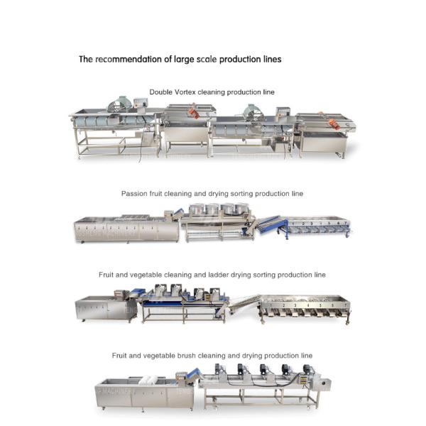 2.6KW Multi-functional fruit and vegetable bubble cleaning machine vegetable food cleaning equipment