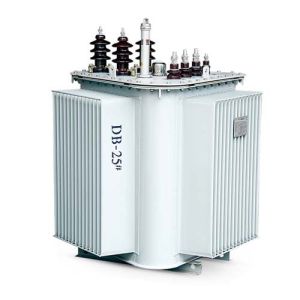Oil Immersed Distribution Transformer 10kv