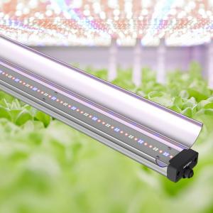 Wholesale 150cm 70W Bar Style LED Grow Lights Daisy Chain Vertical Vertical Grow Light Bar from china suppliers