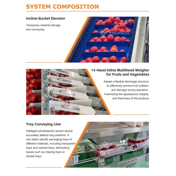 High-Efficiency Automated Weighing & Packaging System for Cherry Tomatoes & Small Fruits