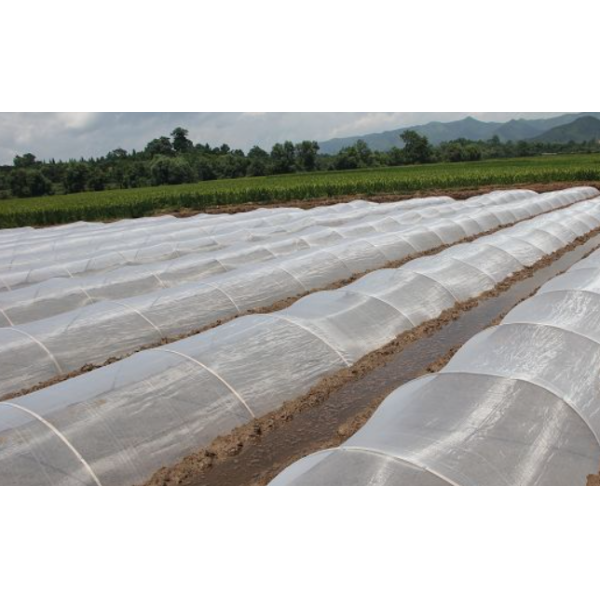 3m Insect Net Mesh 50 Mesh To Protect Fruits Bug Mesh Netting