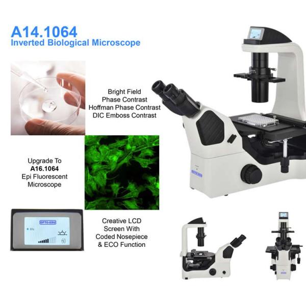 OPTO EDU A14.1064 Inclined Phase Contrast Fluorescence Microscope