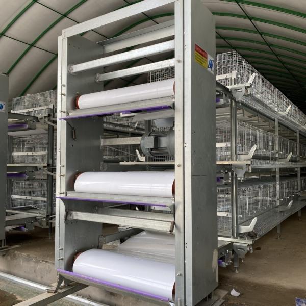 Hot Dip Galvanized Steel Fully Automatic Vertical H Type Multitier Chicken Egg Laying Cage