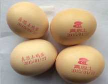 Automatic Continuous Inkjet Batch Coding Machine / Egg Grading Equipment
