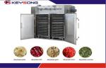 Industrial Fruit and Vegetable Drying Machine Fruit Dehydrator