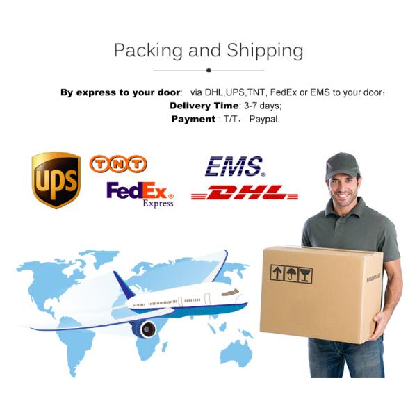 12x Optical Zoom PTZ USB Video Conference Camera For Vertical Screen Live Broadcasting In Beijing