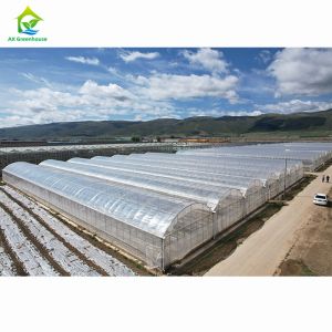 Large-scale agricultural multi-span greenhouses | Professional greenhouse