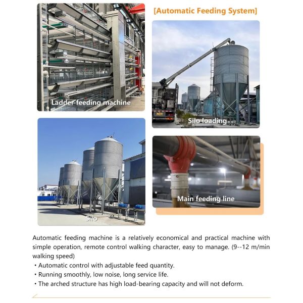 Galvanized Light Steel Frames Broiler Chicken House with Low Maintenance Required and Modular/Panelized Installation Poultry Farming Equipment