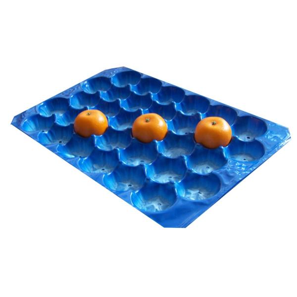 Disposable Plastic Oyster Serving Tray Set