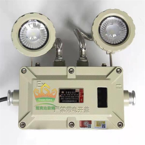 Hazardous Area Explosion Proof Emergency Light