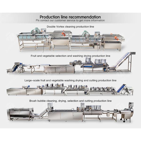 1000KG/H Fruit And Vegetable Processing Line Bubble Washing And Vibrating Drying