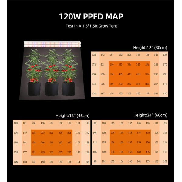 Adjustable Height Hydroponic LED Grow Light 120W Indoor LED Cultivation Light