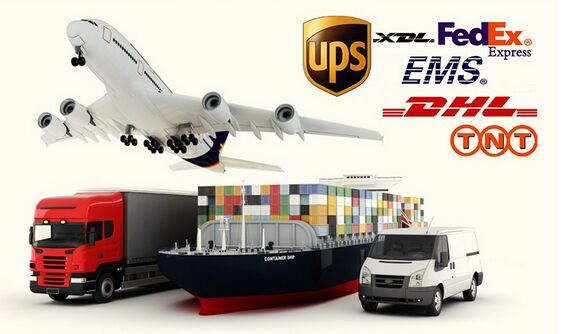 Gold Plated 1 foot / 2 foot Cat5e Patch Cables For LAN, Video System