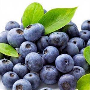 Wholesale Acai Berry / Brazilian Acai Extract from china suppliers