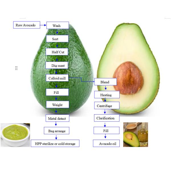 Customized 1 - 10T/H Avocado Pulp Processing Machine With Automatic Control