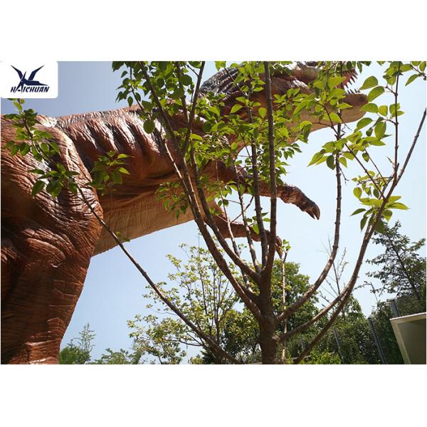 Giant Life Size Dinosaur Theme Park , Dinosaur Lawn Sculpture With Color Customized