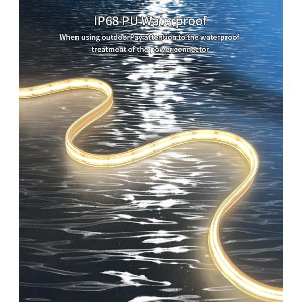Outdoor Swimming Pool IP68 PU Neon Flex Light DC12V / 24V Waterproof LED Neon Flex Strip