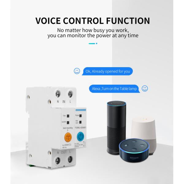 Intelligent WIFI Circuit Breaker with 2Poles 63A