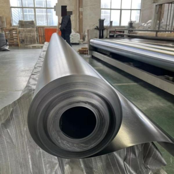 Prefabricated HDPE Geomembrane Fish Pond Liner for Aquaculture Farms and Landfill Sites