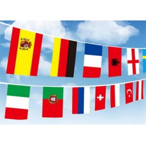 Digital Printing International Flag String High Resolution With Recycled