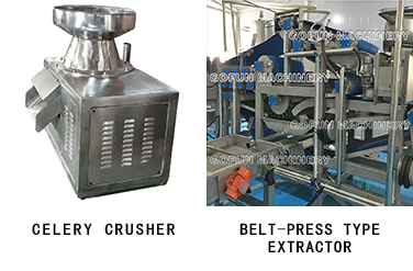 Safety Vegetable Processing Line Stable Performance Celery Processing Equipment