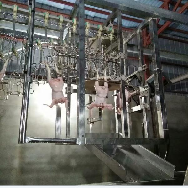 halal bird slaughter plant automatic poultry processing line unloader