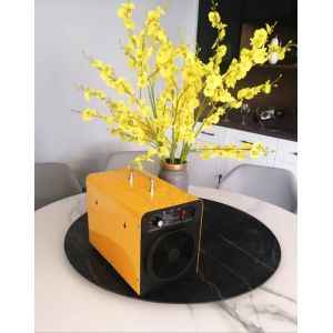 Wholesale Portable Breathing Ozone Generator Room Purifier 40g from china suppliers