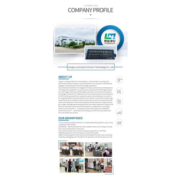 Jiangsu Luoming industrial oxygen generator machine