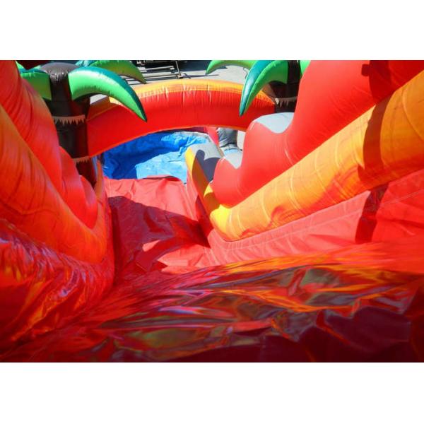 Colorful Backyard Tropical Inflatable Water Slide With 5 Years Warranty