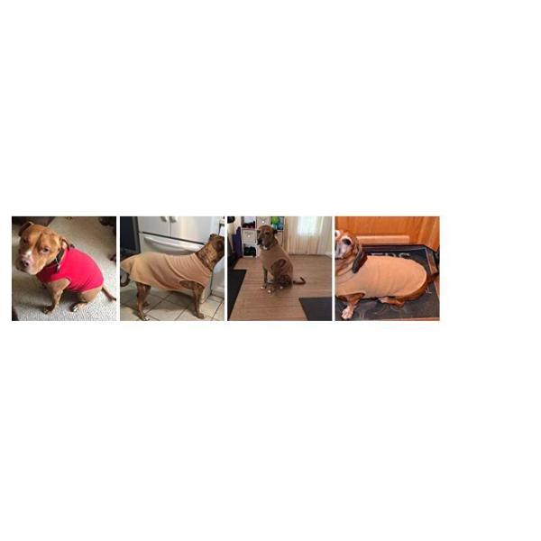 Easy to Wear and Take off Machine Washable Dog Jacket