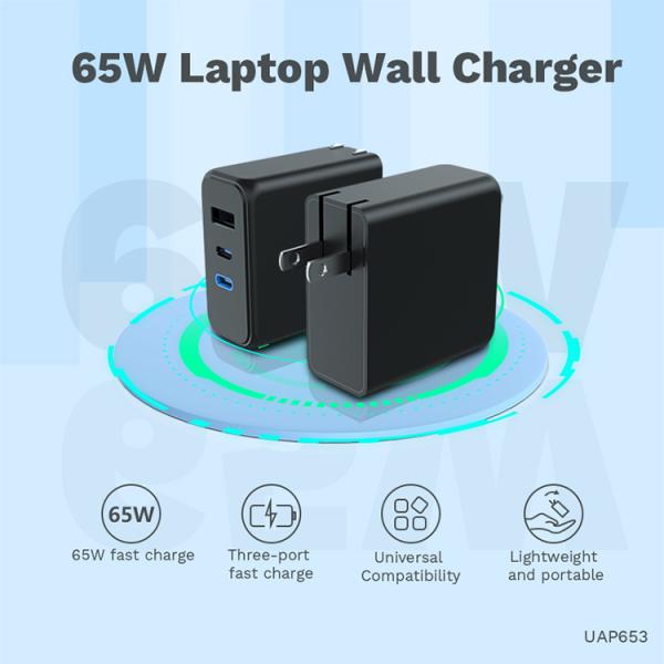 AC 100V PD Power Adapter Dual Usb C PD Charger For Worldwide