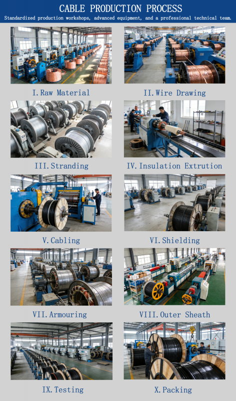 Submersible Pump Cable OEM Supported High Flexibility 450/750V for Deep Well Pumps