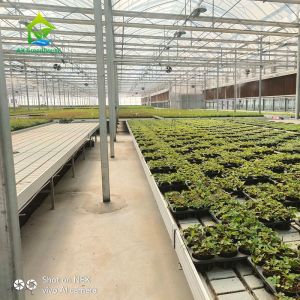 Adjustable Greenhouse Rolling Benches 4x8 Ebb And Flow Table