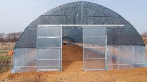 Wholesale HDPE Covering Tunnel Greenhouse Single Span Greenhouse Humidity 50%-90% from china suppliers