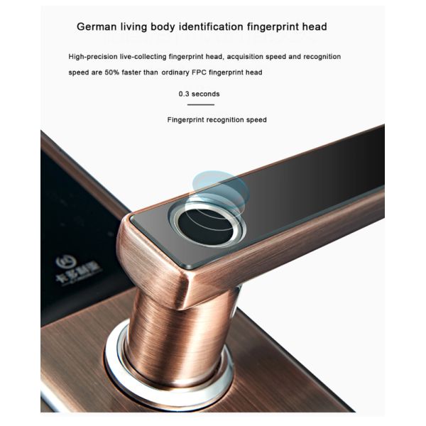 Stable Performance Fingerprint Smart Door Lock Sus 304 Panel C - Class Security Level