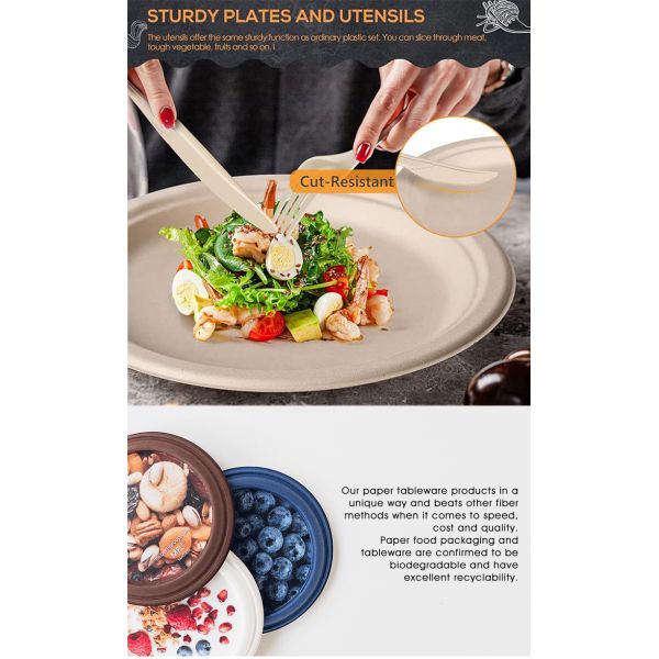 White Color Different Sizes Eco-friendly Disposable Tableware Lightweight Bagasse Paper Plate