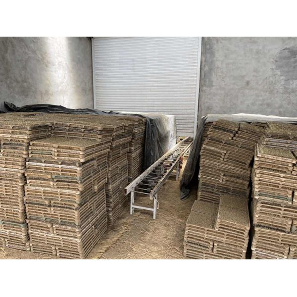 Rice seeder machine