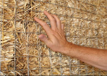 3.0mm/4.0mm Hot DIP Galvanized Welded Wire Mesh Panel