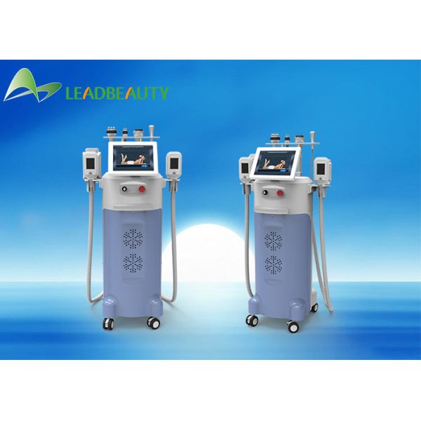 Cryolipolysis slimming machine/Cryolipolysis machine for home use/Cryolipolysis